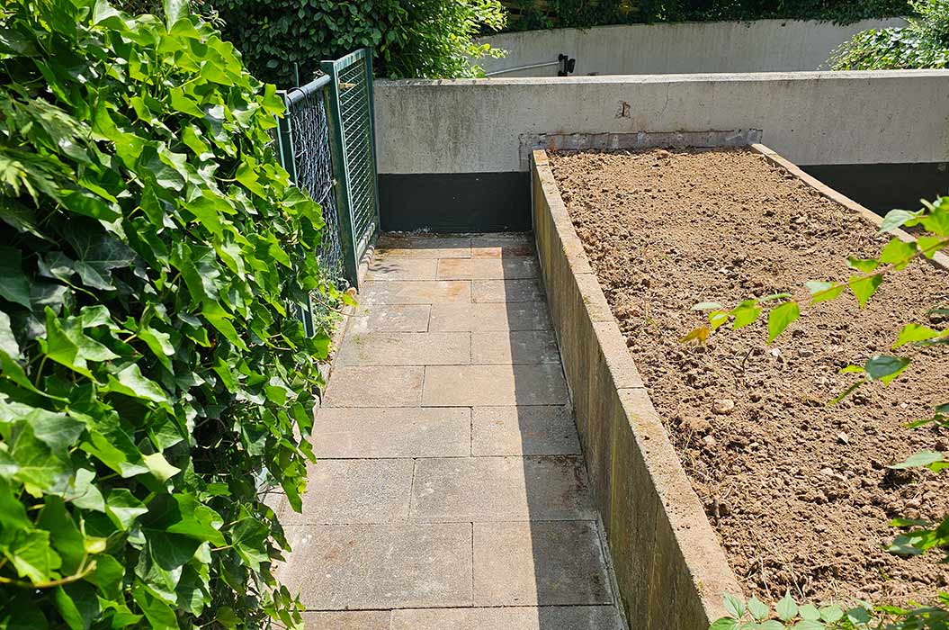 Ein Gartenweg mit grüner Hecke und unbepflanztem Beet in der Sonne