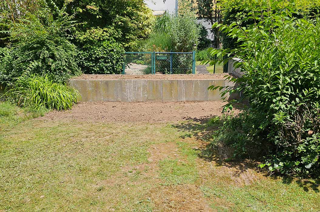 Grüner Garten mit Rasenfläche, umgeben von üppigen Büschen und einem Zaun.