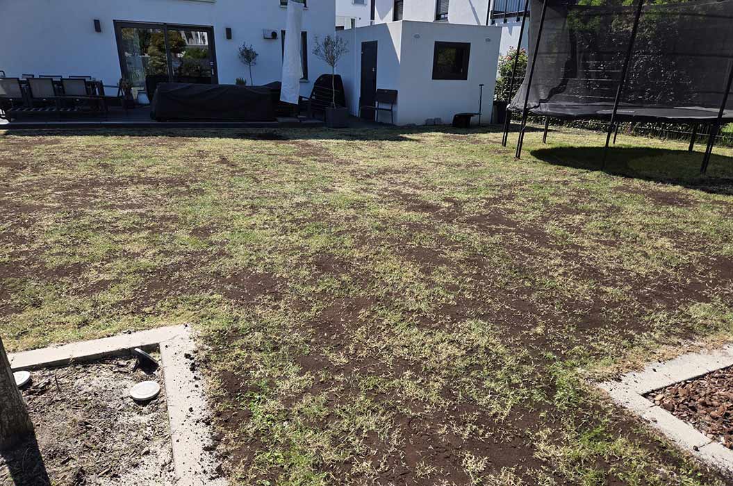 Ein kleiner Garten mit teilweise nachwachsenden Gräsern, umgeben von weißem Haus.