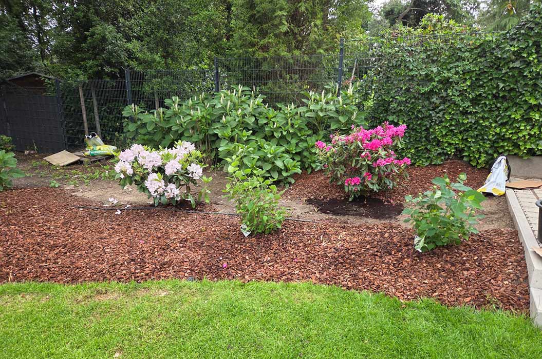 Ein Garten mit blühenden rosa und weißen Sträuchern und grüner Umrandung