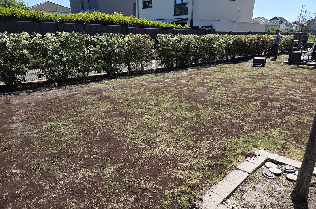 Ein Garten mit kahlem Boden, begrenzt von einem Zaun und Büschen.