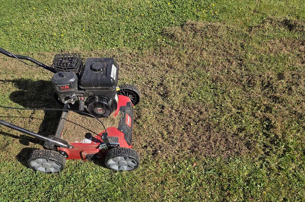 Ein roter Rasenmäher auf grünem Gras, teilweise trocken.