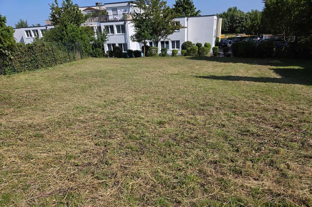 Eine frisch gemähte, sonnige Wiese vor einem weißen Gebäude mit Büschen.