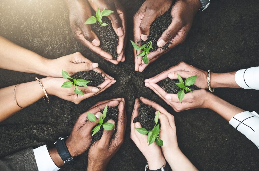 Geschäftsleute, Hände und Team mit Pflanzen in der Natur, Unterstützung und Hilfe für eine nachhaltige Umwelt. Mitarbeiter, oben und Gruppe mit Setzling für umweltfreundliche Mission, Nahaufnahme und Null Kohlenstoff-Fußabdruck