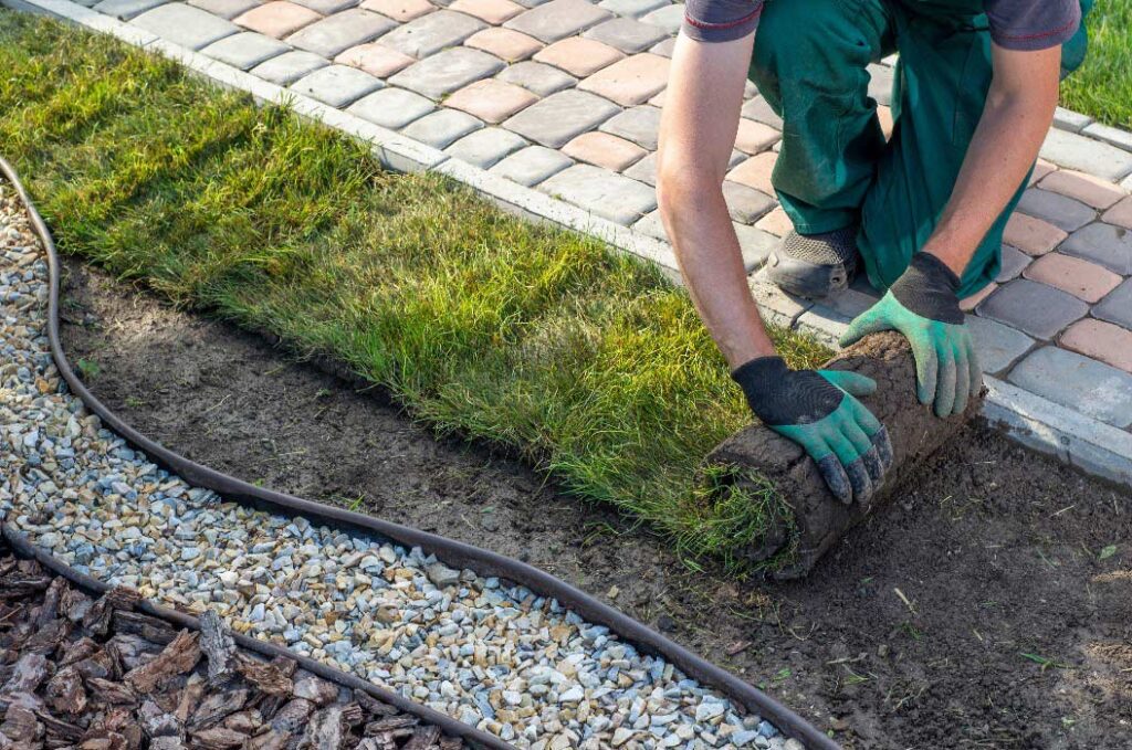 Eine Person mit grünen Handschuhen rollt auf einem Rasenstück Gras aus.